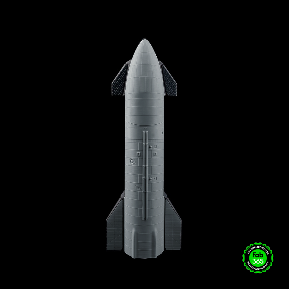 SpaceX Starship Cargo - OFFERTA LAMPO