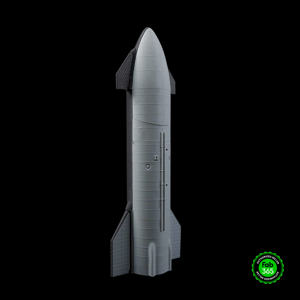 SpaceX Starship Cargo - OFFERTA LAMPO
